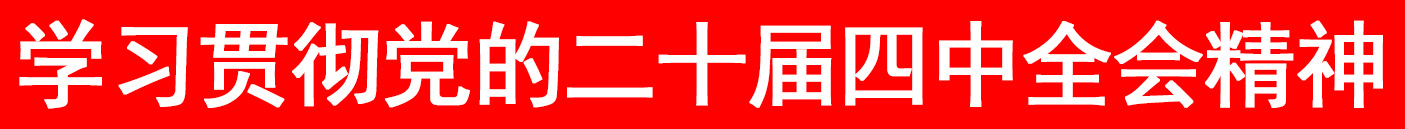 学习贯彻党的二十届四中全会精神.jpg