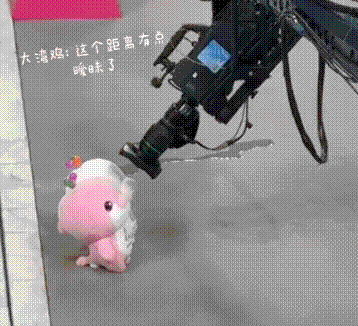 大湾鸡怼脸.gif 大湾鸡怼脸.gif