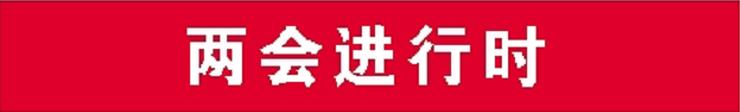 两会进行时.jpg 两会进行时.jpg
